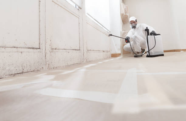 24/7 Emergency Black Mold Remediation experts in Keller, TX