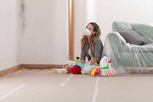 Reliable Black Mold Remediation contractor in Keller, TX by Car Mold Remediation